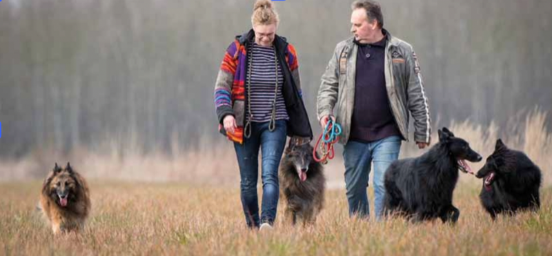 Ton Molenaar, fondatorul DARF, cu câinii săi